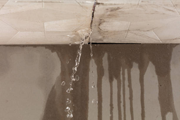 Professional Water Damage Repair technician working in Plymouth, MA